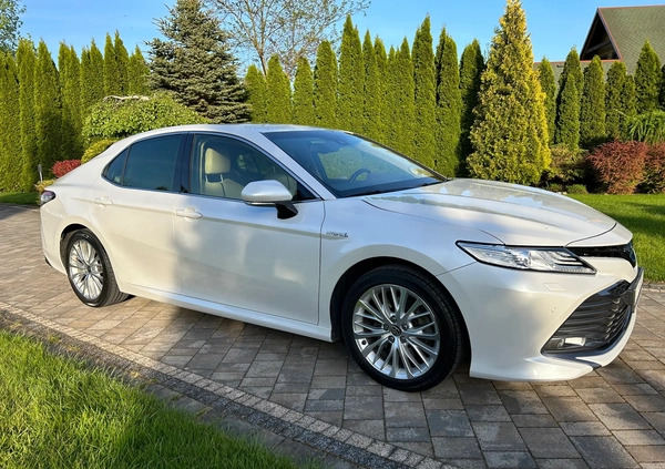 Toyota Camry cena 138000 przebieg: 91320, rok produkcji 2020 z Łuków małe 529